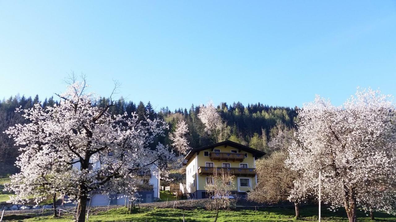 Ferienhaus Karin Fusch an der Glocknerstraße Εξωτερικό φωτογραφία